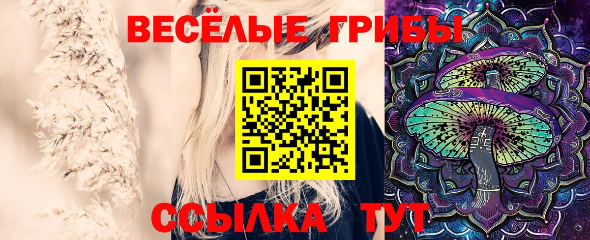 Галлюциногенные грибы GOLDEN TEACHER Мичуринск