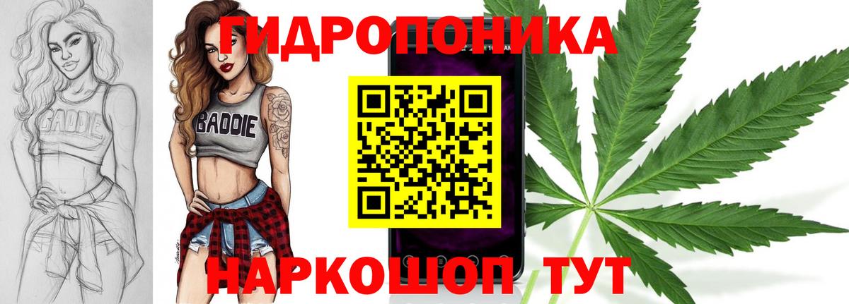 Галлюциногенные грибы Мичуринск